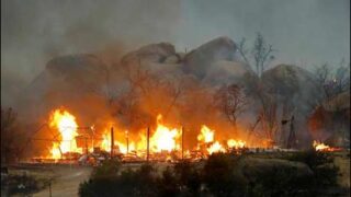 Arizona Forests Fire