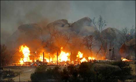 ایریزونا کے جنگلات میں آگ، 19 فائرفائٹرز جھلس کر ہلاک