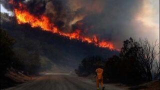 California Fire