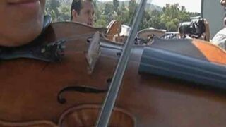 California Musicians