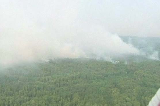 کیلیفورنیا : آگ نے 22 ہزار 8 سو ایکڑ جنگل کو اپنی لپیٹ میں لے لیا