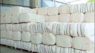 Cotton