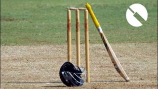 Cricket
