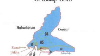 Dadu
