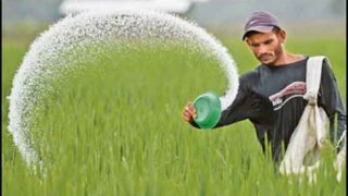 Fertilizer