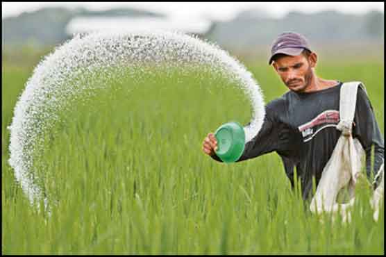 Fertilizer