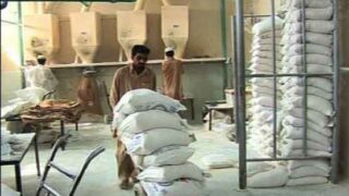 Flour Mills