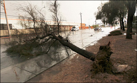 امریکا کے شہر لاس ویگاس میں طوفان نے تباہی مچا دی