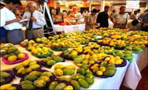 آم کی برآمدات کیلئے پاک چین معاہدے پر دستخط