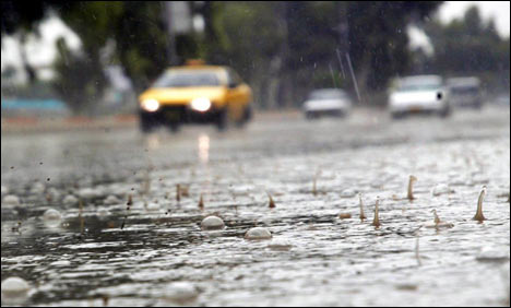 Monsoon Rains