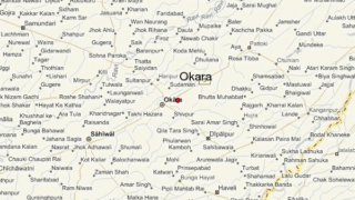 Okara