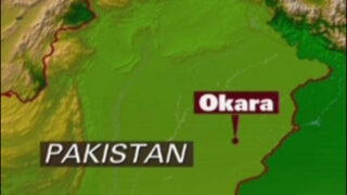Okara
