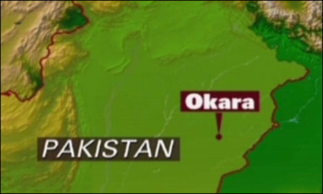 Okara