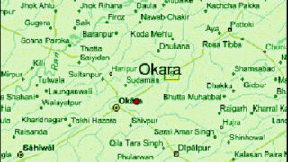 Okara