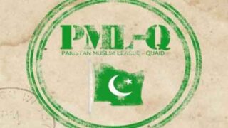PML Q