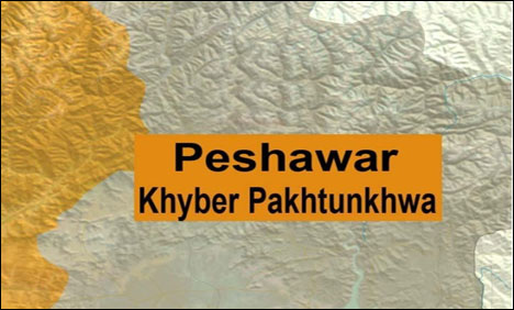 ضمنی انتخابات حلقہ این اے ون میں پیپلز پارٹی اے این پی کے حق میں دستبردار