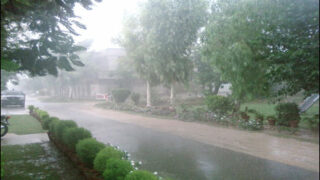 Rain