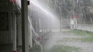 Rain