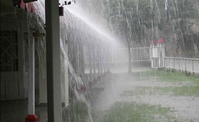 Rain