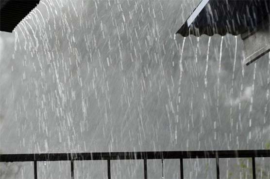 Rain