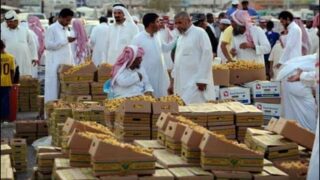 Saudi Arabia