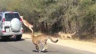 South Africa