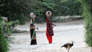 Tharparkar Moor