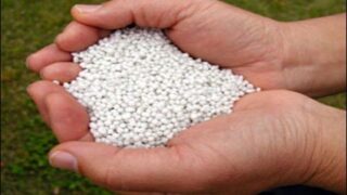 Urea