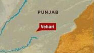 Vehari