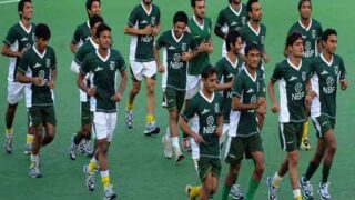 World Hockey League,