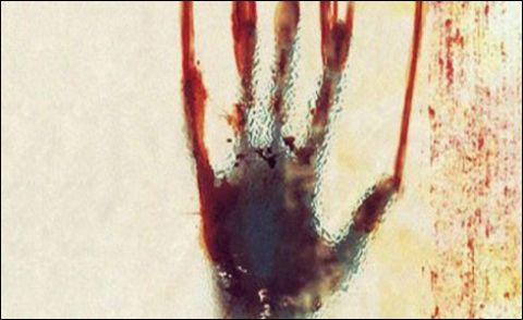 ذمیندار کا بہنوں پر وحشیانہ تشدد، سر کے بال کاٹ ڈالے