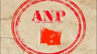 ANP