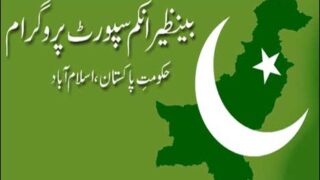 Benazir Income Support