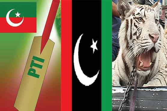 ن لیگ کی قومی اسمبلی میں پانچ، پیپلزپارٹی کی تین، تحریک انصاف کی دو نشستیں