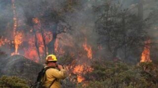 California Fire