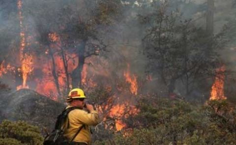 کیلیفورنیا: جنگلات میں لگنے والی آگ پر تاحال قابو نہ پایا جا سکا