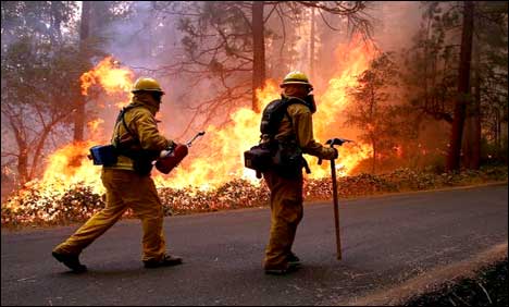 California Fire