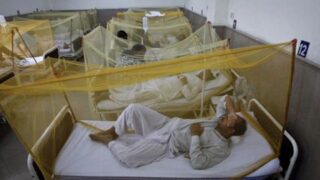 Dengue Fever