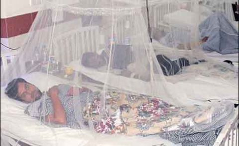 ملک میں ڈینگی سے متاثرہ مریضوں کی تعداد میں اضافے کا رحجان برقرار