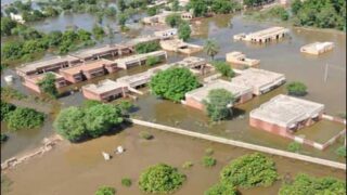 Flood In Punjab