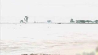 Flood Relay