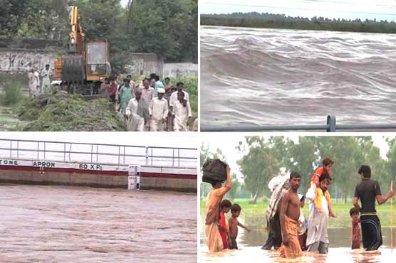 Flood Rylh
