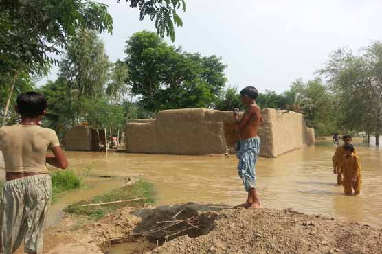 سیلاب سے ہلاکتوں کی تعداد 118 ہو گئی : این ڈی ایم اے