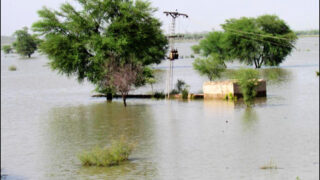 Ghotki