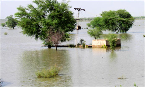 گھوٹکی میں سیلاب، سینکڑوں دیہات زیر آب، زمینی رابطہ منقطع