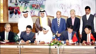 Government of Punjab Qatar