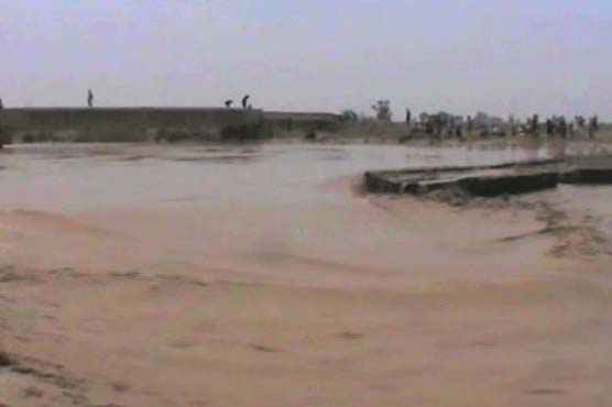 شدید بارشوں سے ندی نالے بھی بپھر گئے