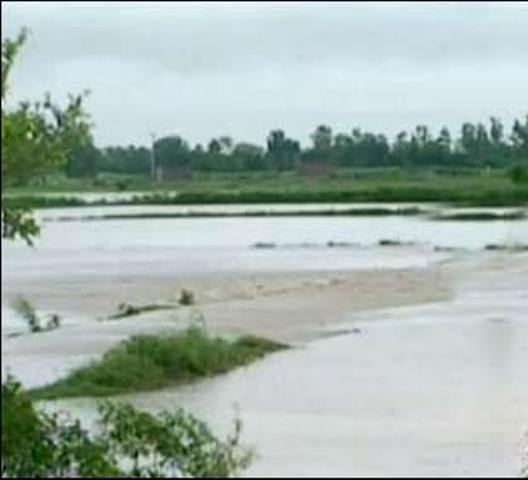 جنوبی وزیرستان : موسلادھار بارشوں کے بعد برساتی ریلوں سے تباہی