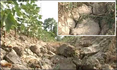 بالائی سندھ میں سیلاب، زیریں سندھ میں پانی کی قلت