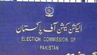 Municipal Elections